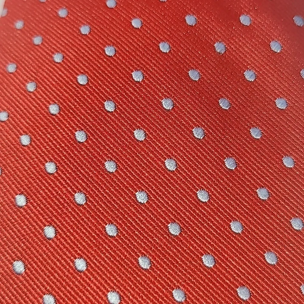 ALEXANDER JULIAN Red Blue Polka Dots Men's Tie